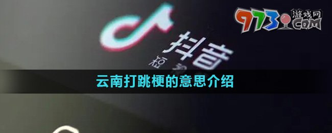 《抖音》云南打跳梗的意思介绍