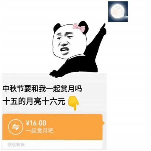 《微信》十五的月亮十六元表情包分享