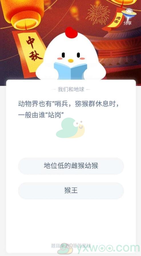 动物界也有哨兵，猕猴群休息时，一般由谁站岗？