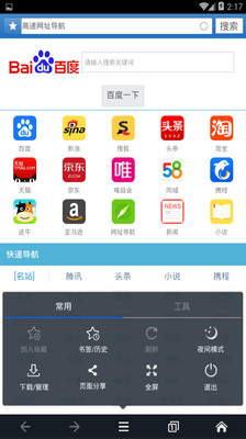 Ie极速浏览器无痕上网安卓版截图3