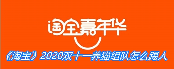 《淘宝》2020双十一养猫组队怎么踢人