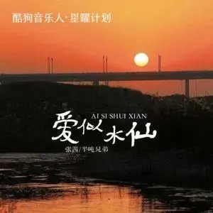 《抖音》爱似水仙歌曲介绍