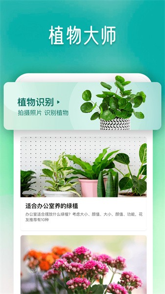 植物大师安卓版截图1