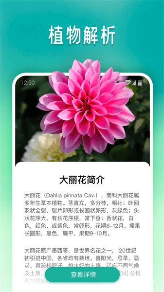 植物大师安卓版截图3