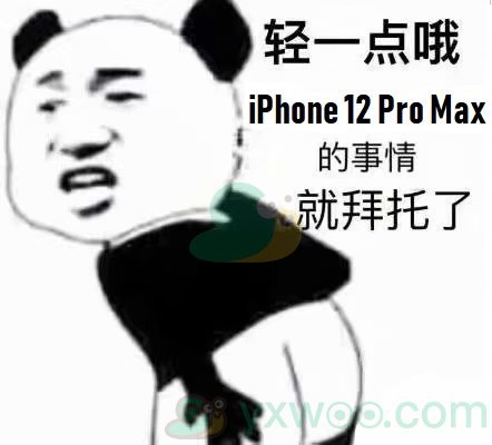 iphone12的事情就拜托了表情包分享