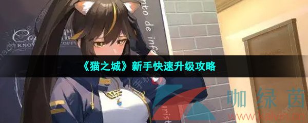 《猫之城》新手快速升级攻略