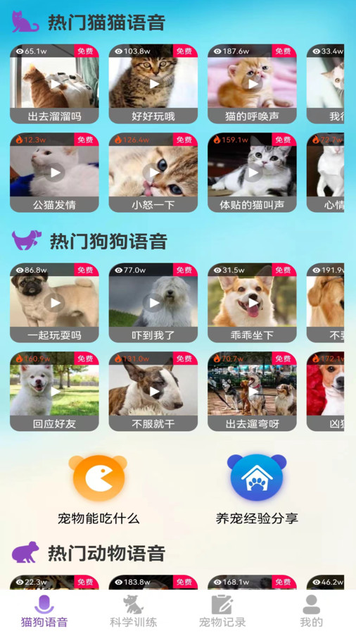 啵啵猫狗语音手机版截图2