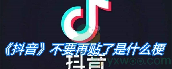 《抖音》不要再贴了是什么梗