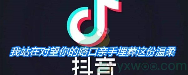 《抖音》我站在对望你的路口亲手埋葬这份温柔歌曲分享