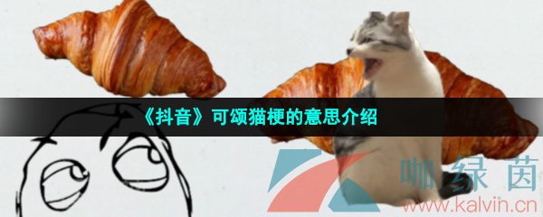 《抖音》可颂猫梗的意思介绍