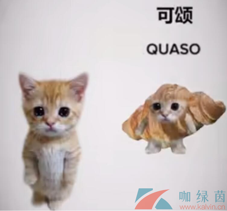 《抖音》可颂猫梗的意思介绍