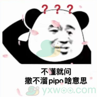 撒不溜pipo是什么梗