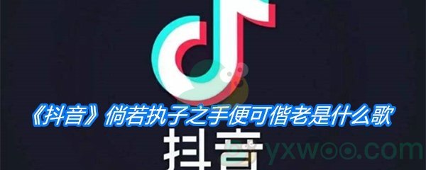 《抖音》倘若执子之手便可偕老是什么歌