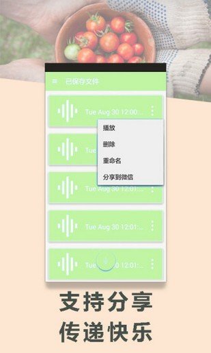 变声专家免费使用最新版截图2