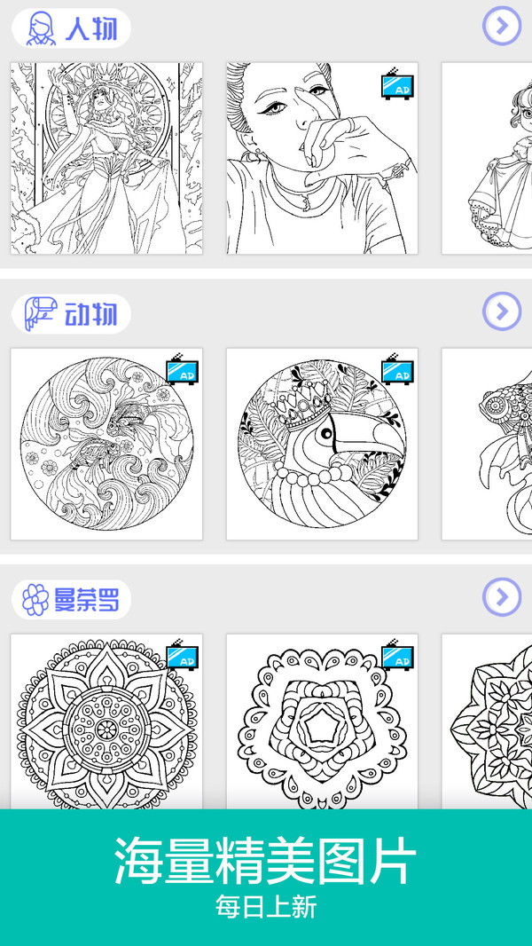 填色数字画画安卓官网版截图2