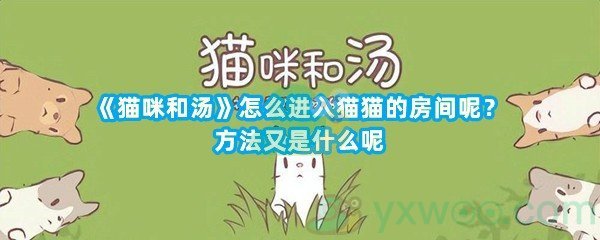 《猫咪和汤》怎么进入猫猫的房间呢？方法又是什么呢