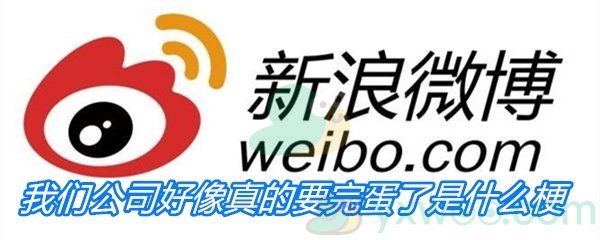 我们公司好像真的要完蛋了是什么梗