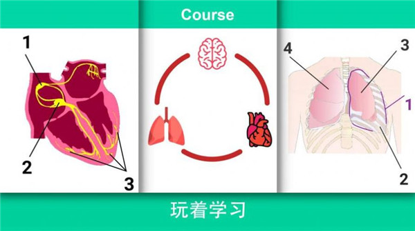 治病模拟器安卓中文版截图2