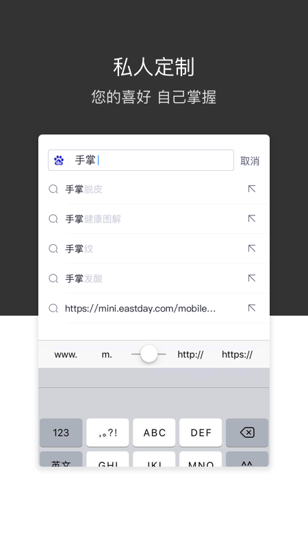 绿叶浏览器内置功能菜单版免费版截图1