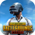 Pubg绝地求生国际服手机版