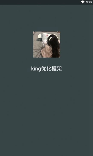 King国体框架免费最新版截图2