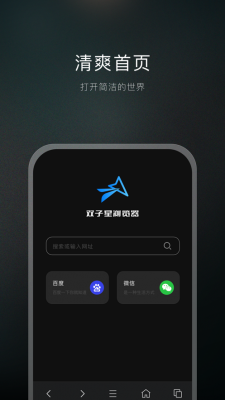 双子星浏览器手机版截图2