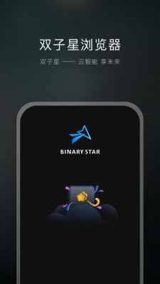 双子星浏览器手机版截图3