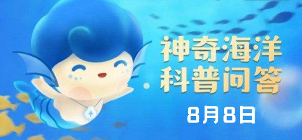 神奇海洋今日答案8.8：海洋在白天呈红色，夜晚出现“蓝眼泪”，原因很可能是