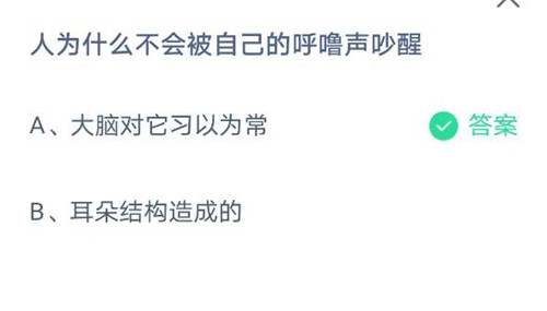 人为什么不会被自己的呼噜声吵醒？