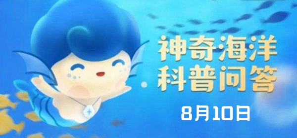 神奇海洋今日答案8.10：海蛞蝓鲜艳的颜色是怎么产生的