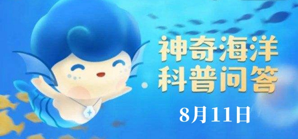 神奇海洋今日答案8.11：哪种鱼能同时适应海水和淡水