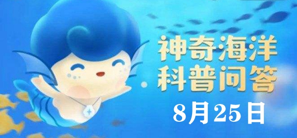 神奇海洋今日答案8.25：被人们称为“海兔”的海洋生物是