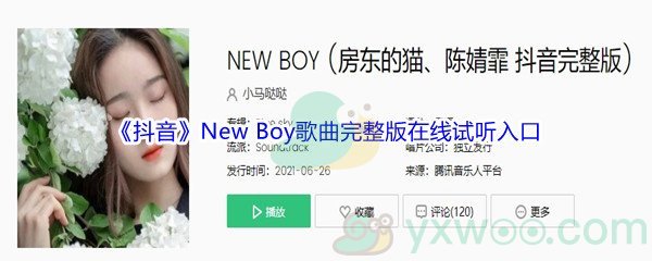 《抖音》New Boy歌曲完整版在线试听入口