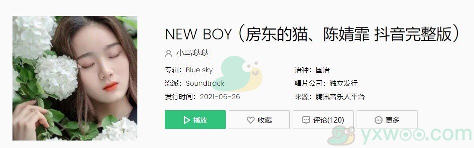 《抖音》New Boy歌曲完整版在线试听入口