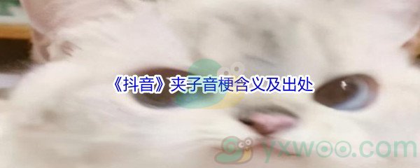 夹子音是什么梗