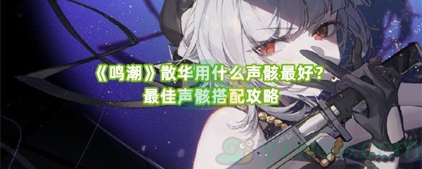 《鸣潮》散华用什么声骸最好？最佳声骸搭配攻略