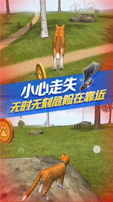 Catsimulator猫咪模拟器中文版截图2