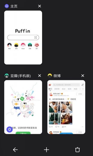 Puffin浏览器手机软件安卓版截图3