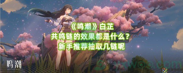 《鸣潮》白芷共鸣链的效果都是什么？新手推荐抽取几链呢