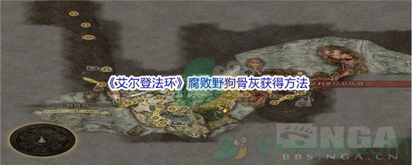 《艾尔登法环》腐败野狗骨灰获得方法