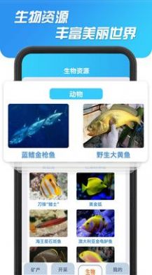 海洋寻宝记安卓版截图3