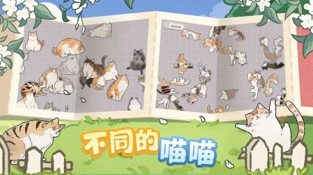 挤在一起的猫猫安卓版截图3