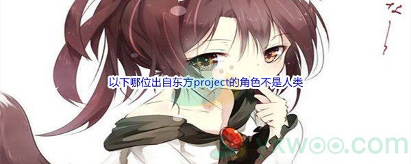 《哔哩哔哩》以下哪位出自东方project的角色不是人类