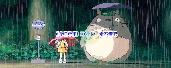 《哔哩哔哩》XX，你一定不懂吧