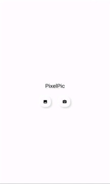 Pixelpic安卓版最新版截图1