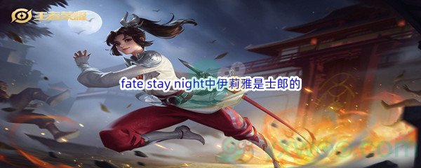 《哔哩哔哩》fate stay night中伊莉雅是士郎的