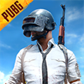 Pubg国际服地铁逃生最新版