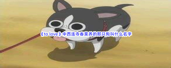 《哔哩哔哩》to love中西连寺春菜养的那只狗叫什么名字