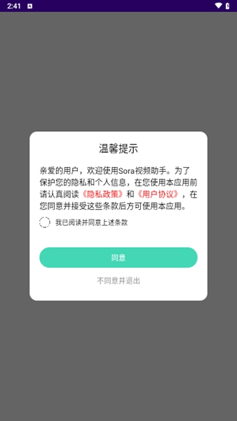 Sora手机正式版截图1