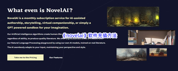 《novelai》软件充值方法介绍